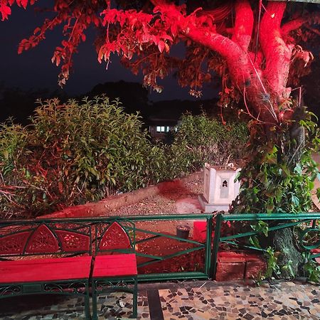 Junglee Nest Holiday Home & Huts マハバレシュワール エクステリア 写真