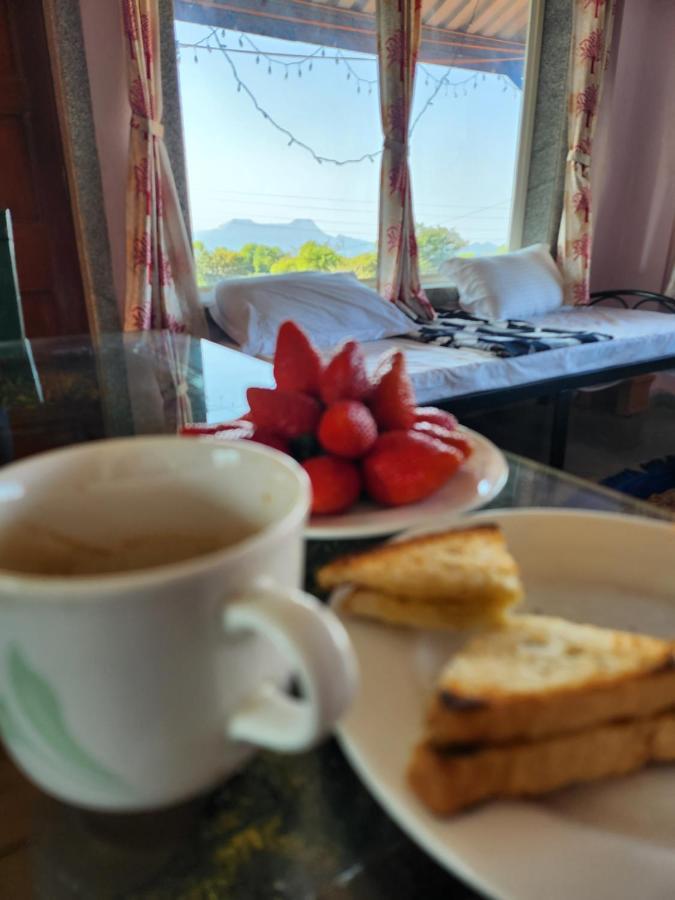 Junglee Nest Holiday Home & Huts マハバレシュワール エクステリア 写真