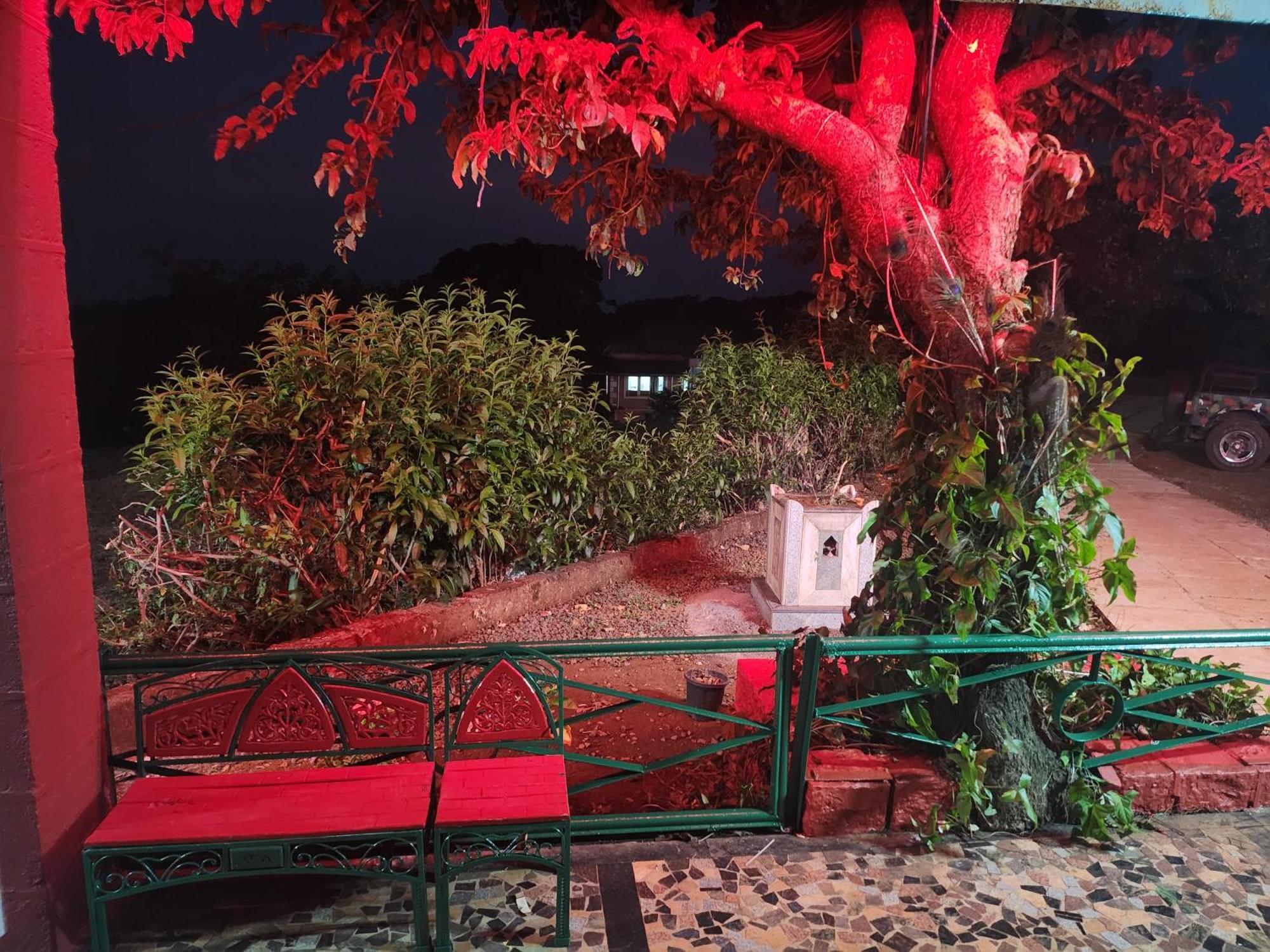 Junglee Nest Holiday Home & Huts マハバレシュワール エクステリア 写真